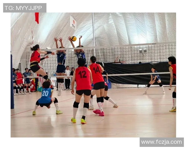 重庆排球队灵活性创新高引发全国关注展现排球新风貌 重庆排球队灵活性创新高引发全国关注展现排球新风貌