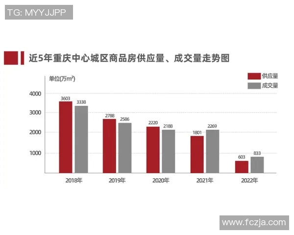重庆排球队运营分析：成败得失背后的深层原因与未来展望