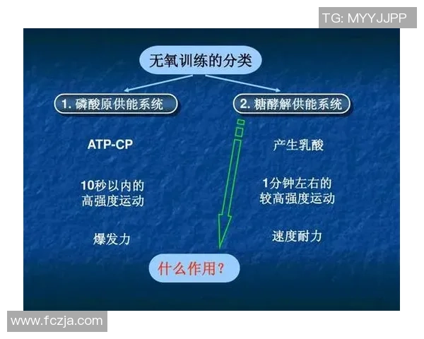 重庆羽毛球队耐力表现数据分析及其对训练策略的影响探讨