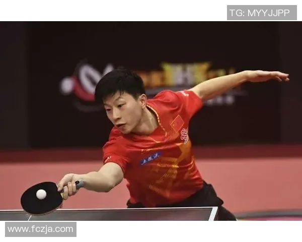 陈芳专访：回顾乒乓球辉煌历程与心路历程的深度对话